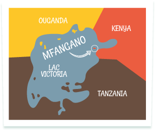 Carte illustrative de l'île de M'Fangano