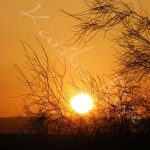 Coucher de soleil - JORDANIE