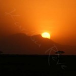 Lever de soleil - Parc Amboseli - KENYA